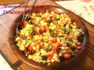 Photo1400-copie-1 (1)