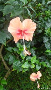 le-1er-sejour-solidaire-de-taz-en-image-juillet-ao-copie-1