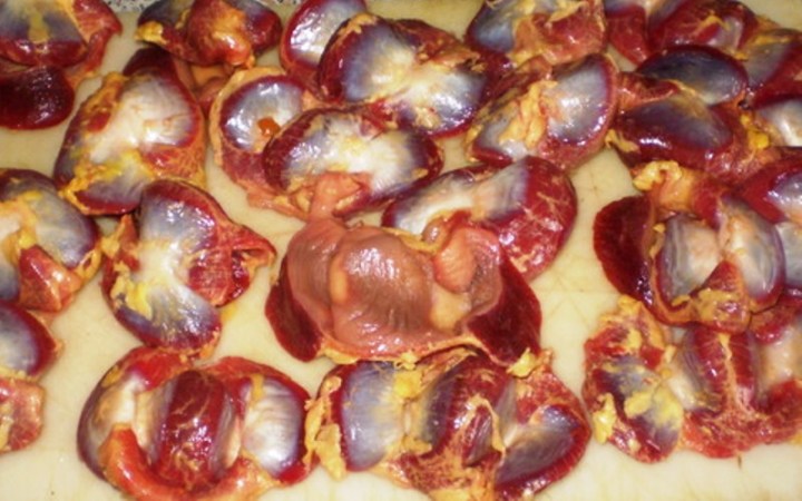 gesiers_de_volailles