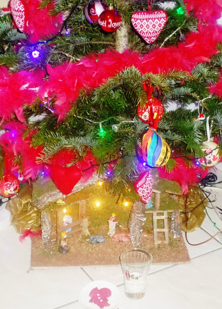 SAMSUNG CAMERA PICTURES