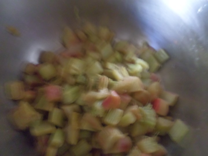 SAMSUNG CAMERA PICTURES