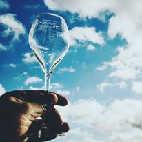 13502010_235432670182847_1138437272425001779_n