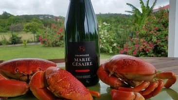 13600310_246480239078090_6691949191613081692_n