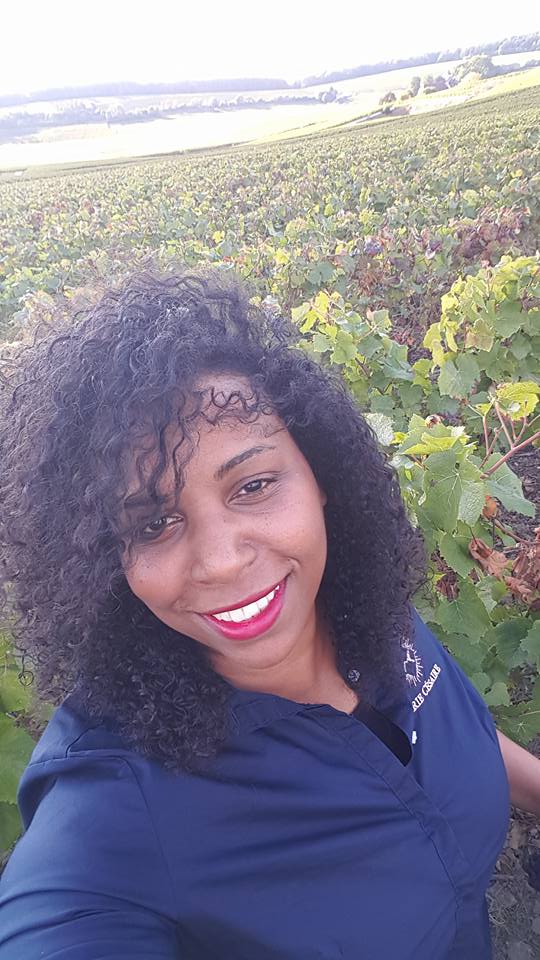 14595830_305351849857595_6715055544009258689_n