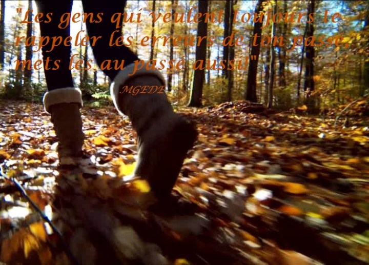 186938284-botte-chaussure-feuilles-mortes-automne-vegetation