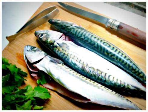 55cec90a0963def95003b4bedb2af9af--architecture-barbecue