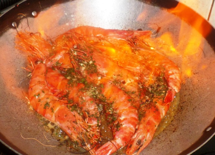 SAMSUNG CAMERA PICTURES