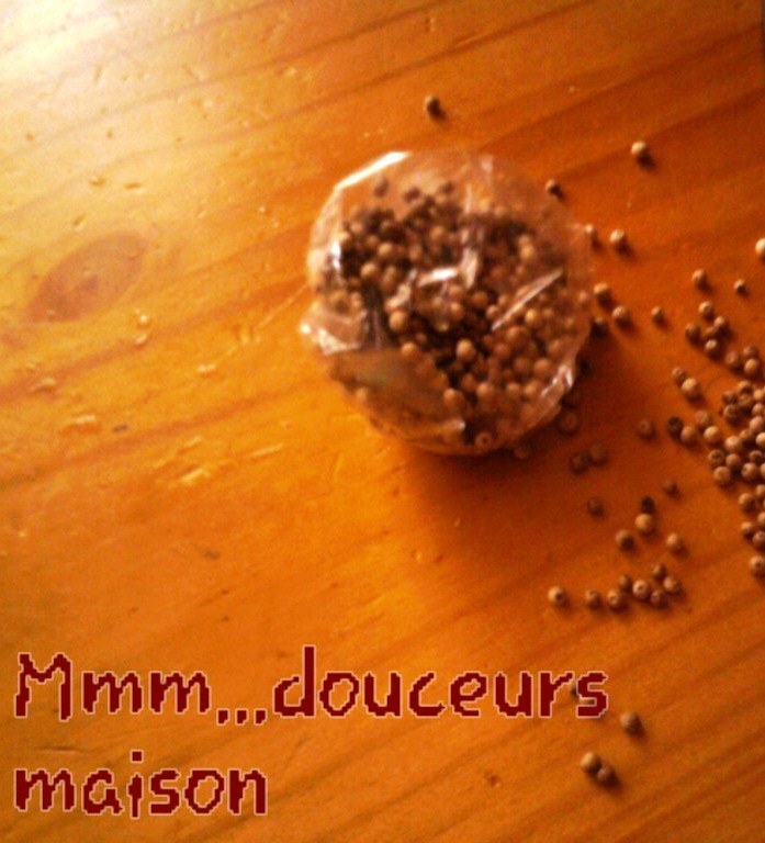 ob_a0685a_photo3138m - Copie