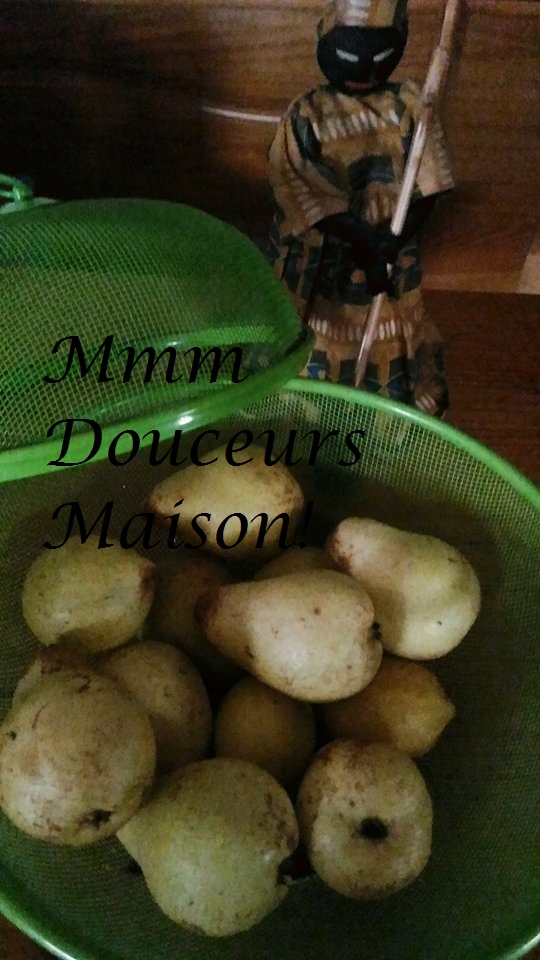 22323409_10212147501737522_699529030_n