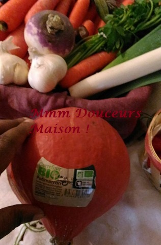 23439664_1435839713180988_1109455458_n