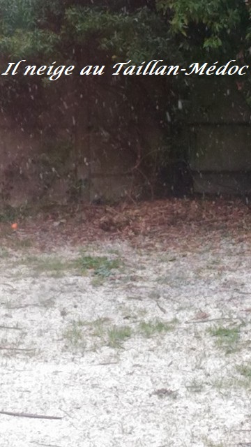 28535884_10213247258750760_1932980483_n