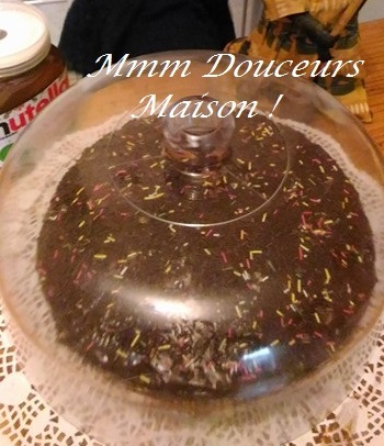 gateau chocolat nutella 2