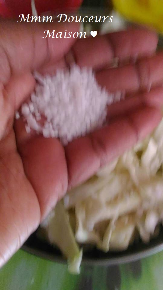 Chou sauté aux légumes 2