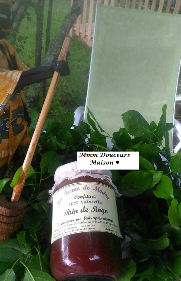 confiture pain d singe
