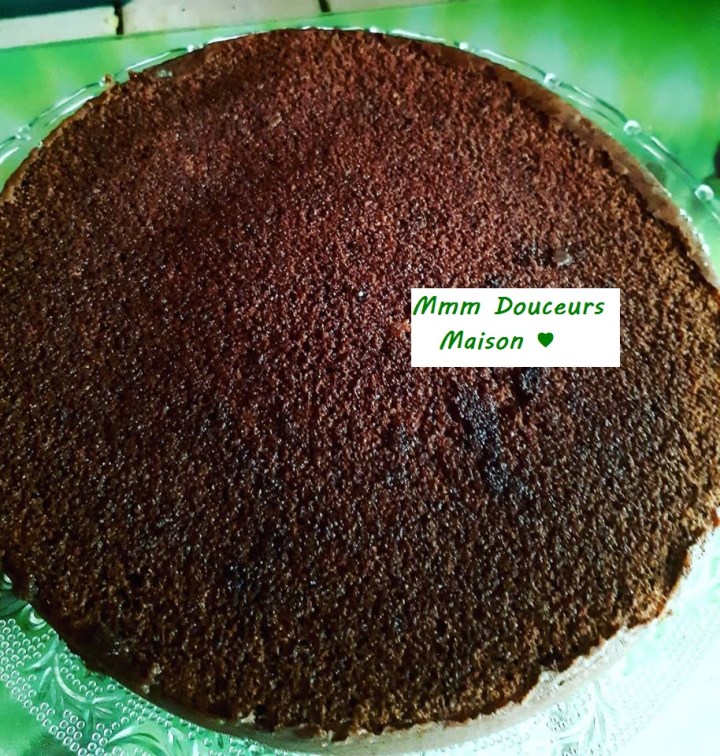 gateau kiwi chocolat 2